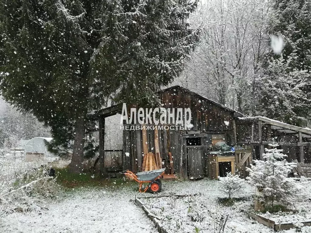 Дом в Ленинградская область, Лодейнопольский район, Янегское с/пос, ... - Фото 2