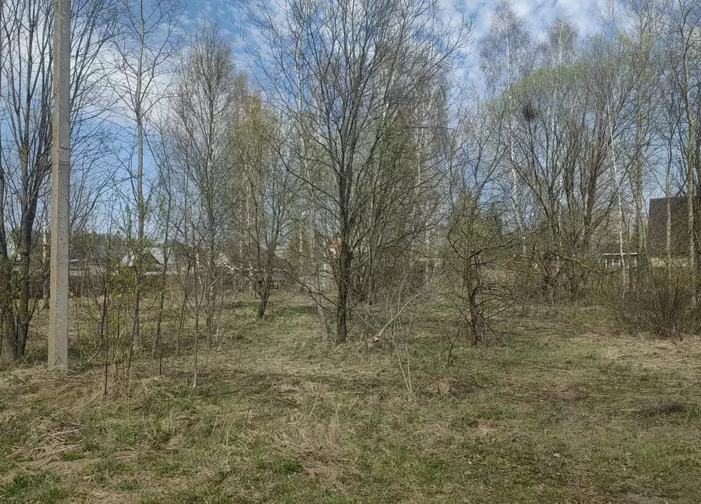 Участок в Московская область, Орехово-Зуевский городской округ, д. ... - Фото 1
