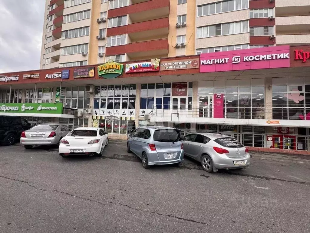 Помещение свободного назначения в Краснодарский край, Геленджик ... - Фото 1