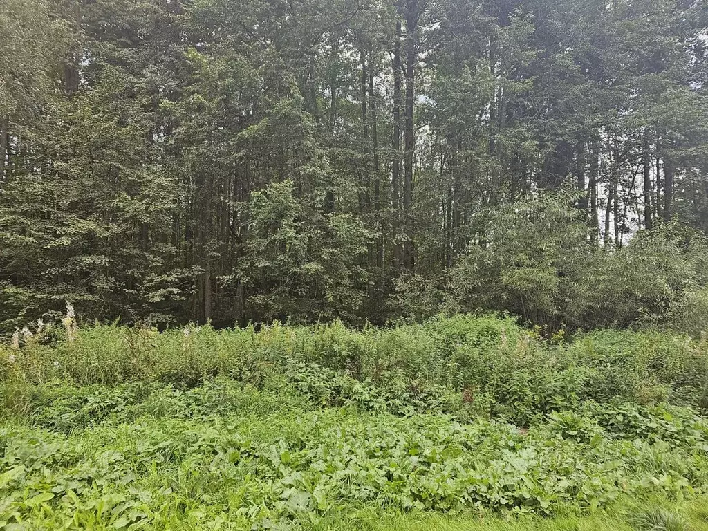 Участок в Москва Лесное озеро кп, 18/2 (14.25 сот.) - Фото 1