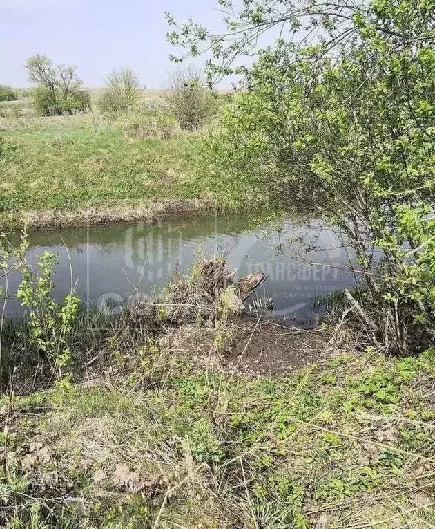 Участок в Воронежская область, Рамонский район, Павловское с/пос, с. ... - Фото 2