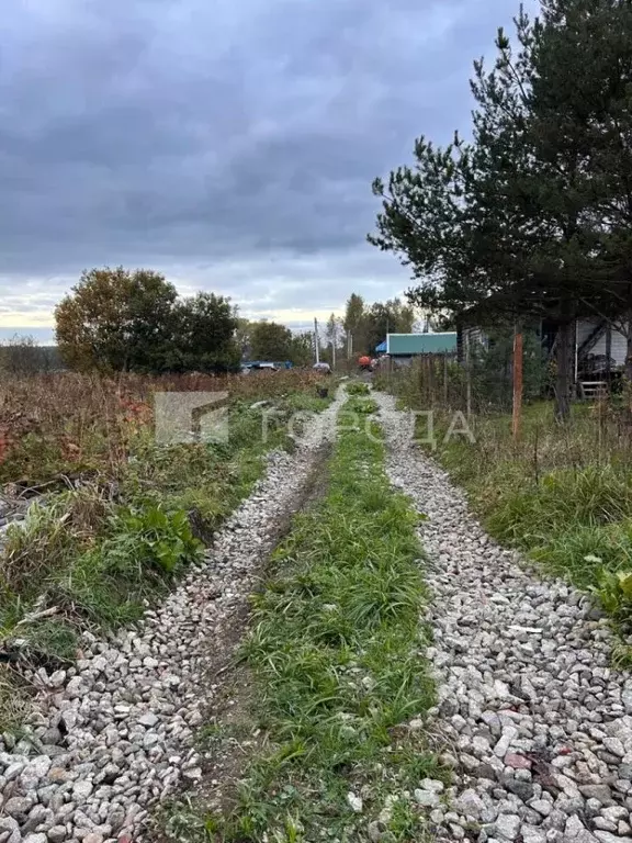 Участок в Московская область, Одинцовский городской округ, д. Ликино  ... - Фото 1