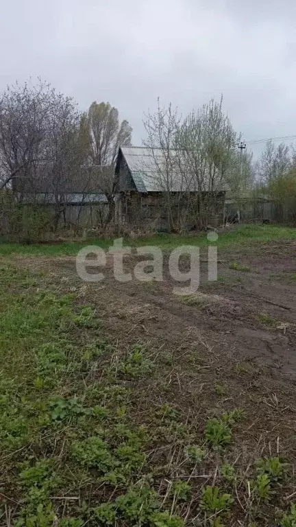 Участок в Брянская область, Брянский район, Мичуринское с/пос, ... - Фото 1