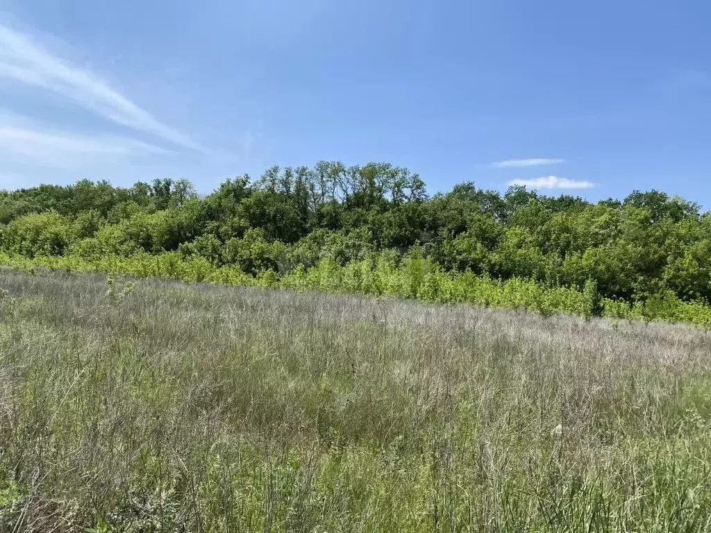 Участок в Белгородская область, Белгородский район, Разумное рп ул. ... - Фото 0