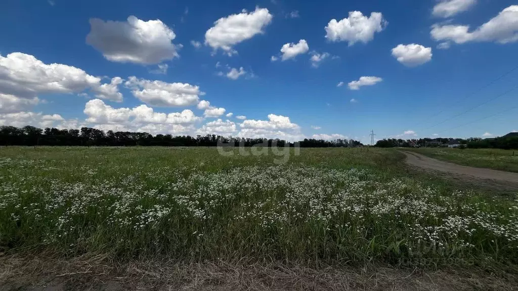 Участок в Краснодарский край, Краснодар муниципальное образование, ... - Фото 0