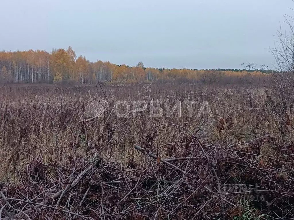 Участок в Тюменская область, Нижнетавдинский муниципальный округ, ... - Фото 2