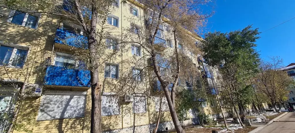 2-к кв. Омская область, Омск пос. Амурский, ул. 4-я Челюскинцев, 119 ... - Фото 1