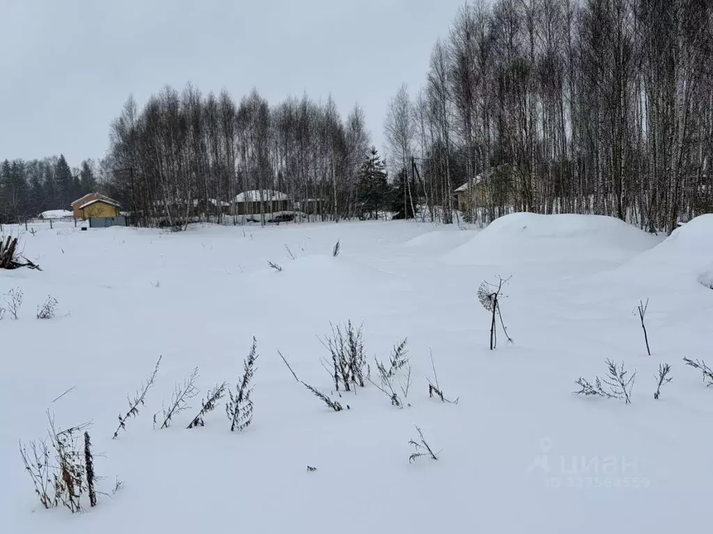 Участок в Московская область, Рузский муниципальный округ, д. Лобково  ... - Фото 2