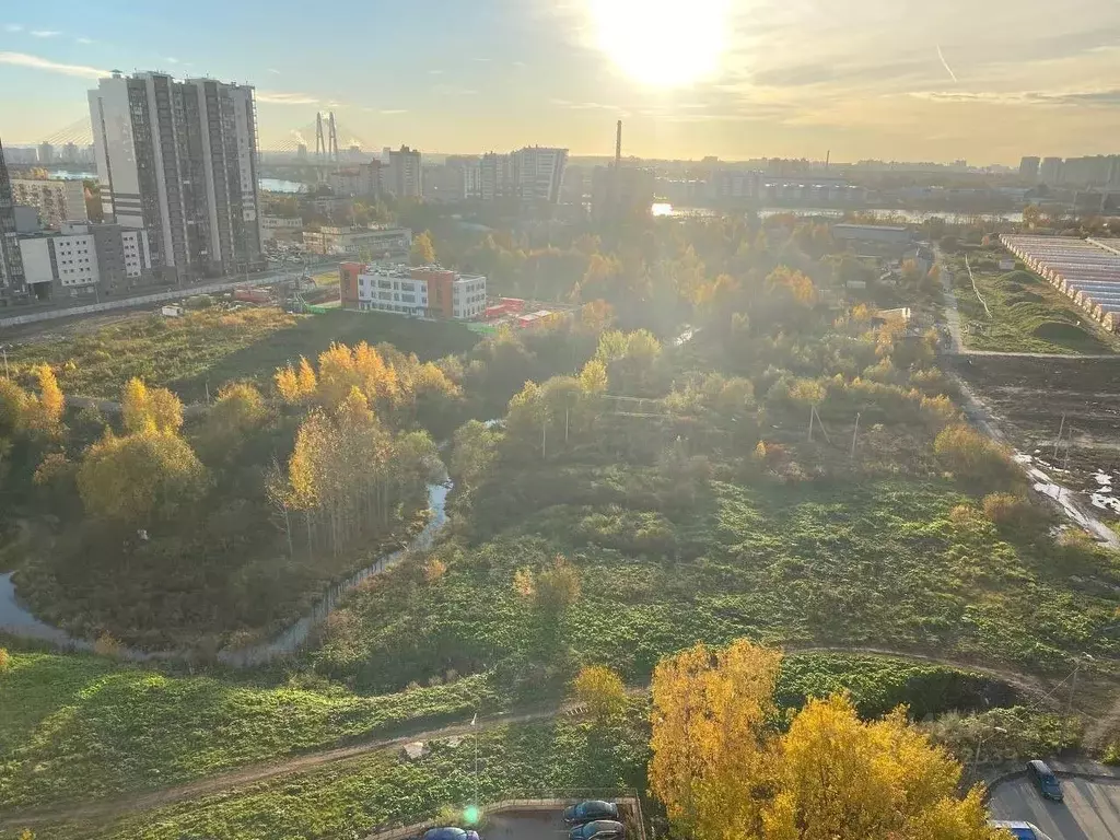 Студия Санкт-Петербург ул. Русановская, 16к3 (26.0 м) - Фото 2