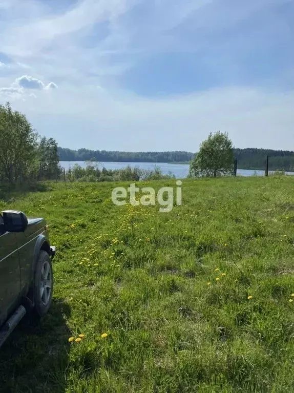 Участок в Ленинградская область, Лодейнопольский район, Янегское ... - Фото 0