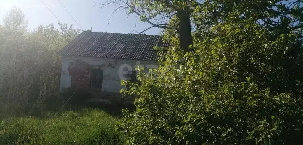 Участок в Воронеж, Солнечная улица (5.98 м) - Фото 1