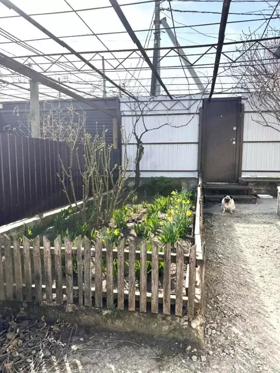 Дом в Краснодарский край, Новороссийск городской округ, с. Борисовка ... - Фото 0