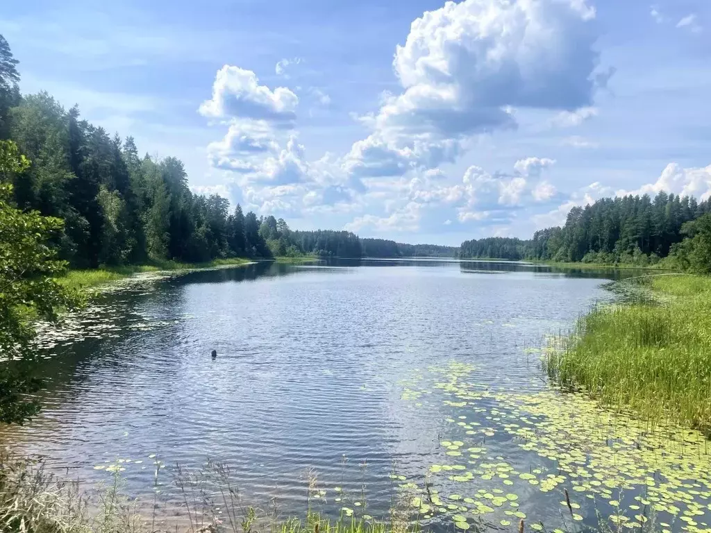 Дом в Новгородская область, Валдайский район, Едровское с/пос, д. ... - Фото 1