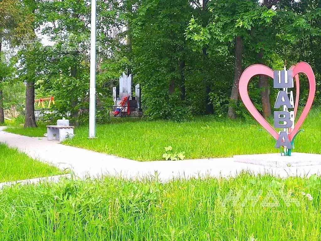 Участок в Нижегородская область, Нижний Новгород с. Шава, ул. Новый ... - Фото 1