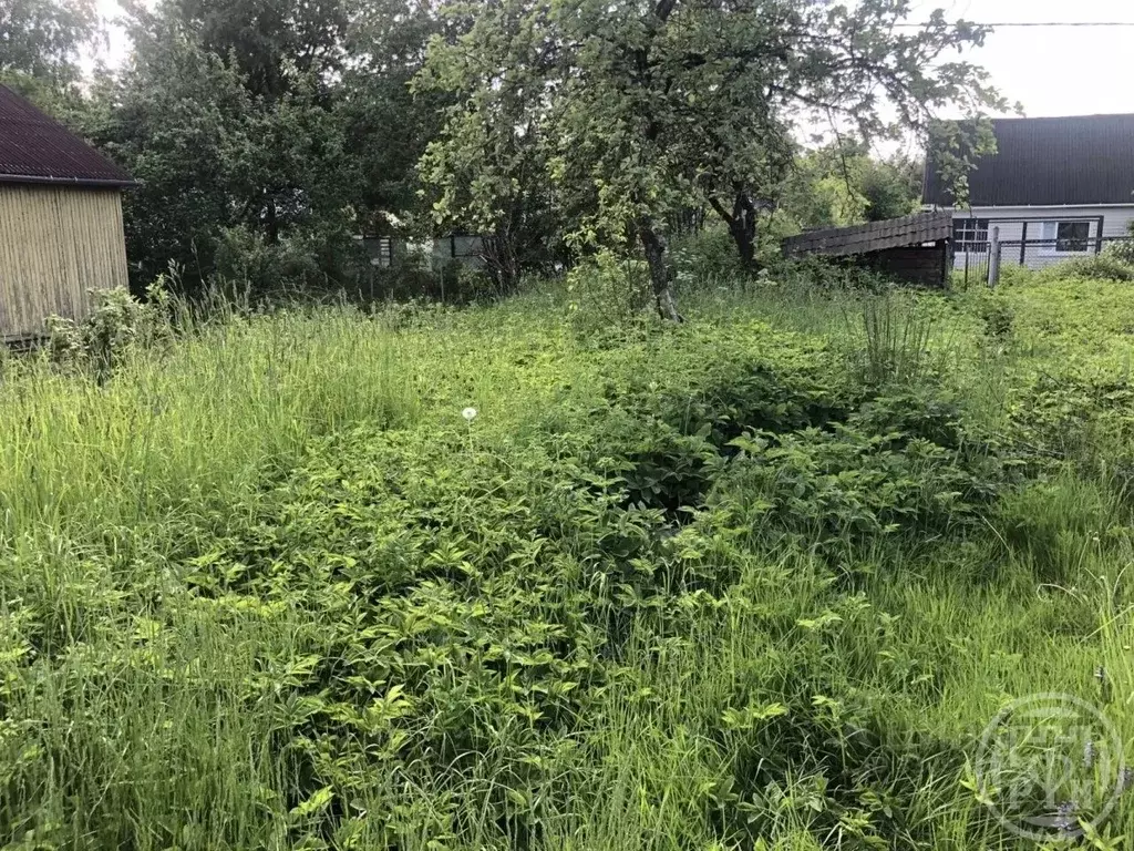 Участок в Ленинградская область, Кировское городское поселение, ... - Фото 1