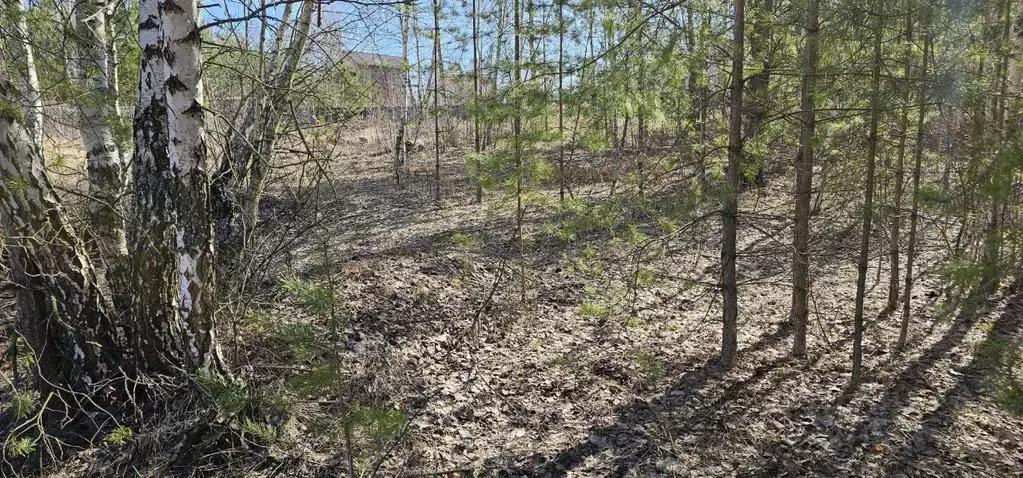 Участок в Московская область, Луховицы муниципальный округ, с. Городна ... - Фото 2