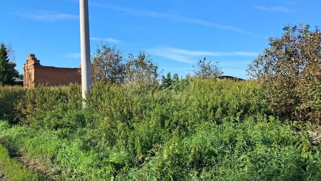 Участок в Тюменская область, Исетский муниципальный округ, д. Кукушки ... - Фото 1