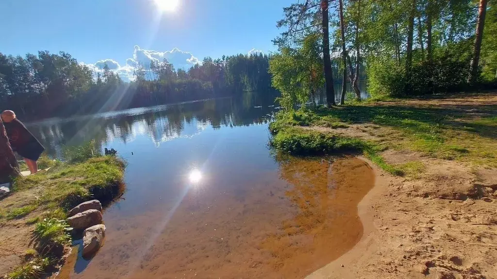Участок в Ленинградская область, Всеволожский район, Колтушское ... - Фото 2