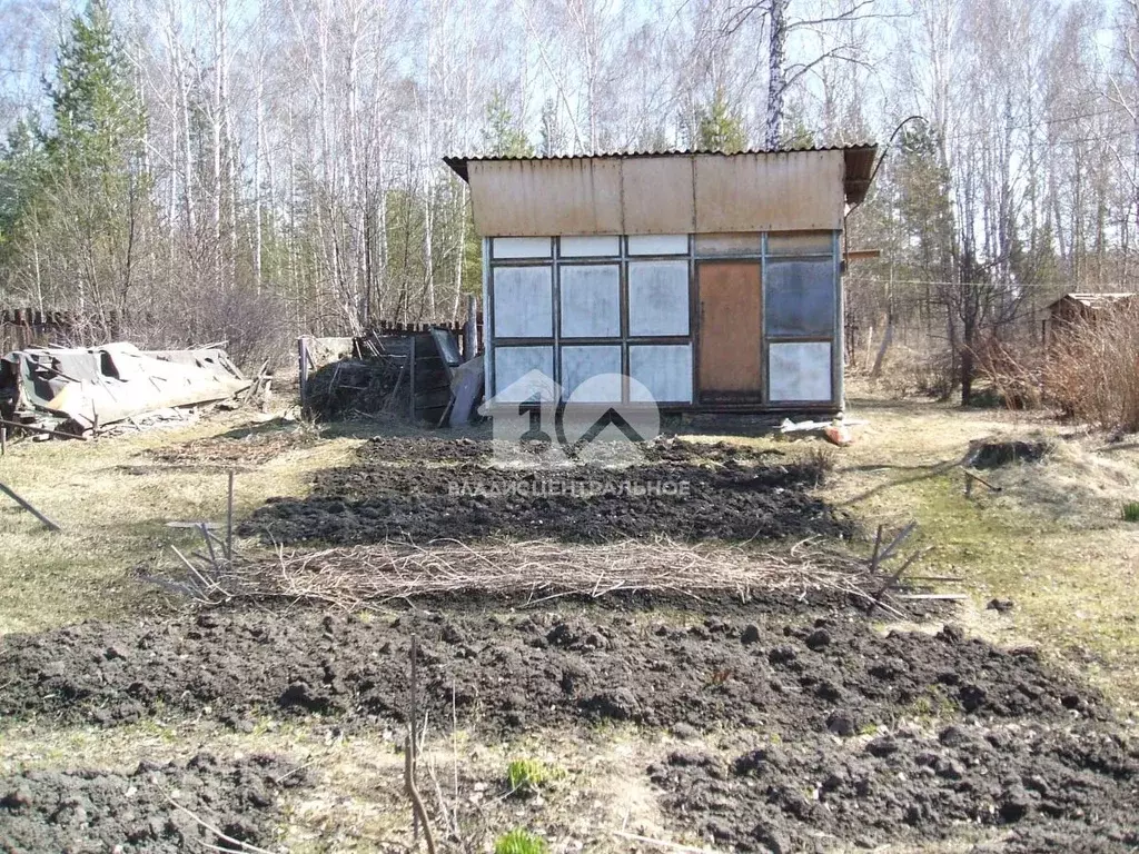 Участок в Новосибирская область, Новосибирский район, Березовский ... - Фото 0