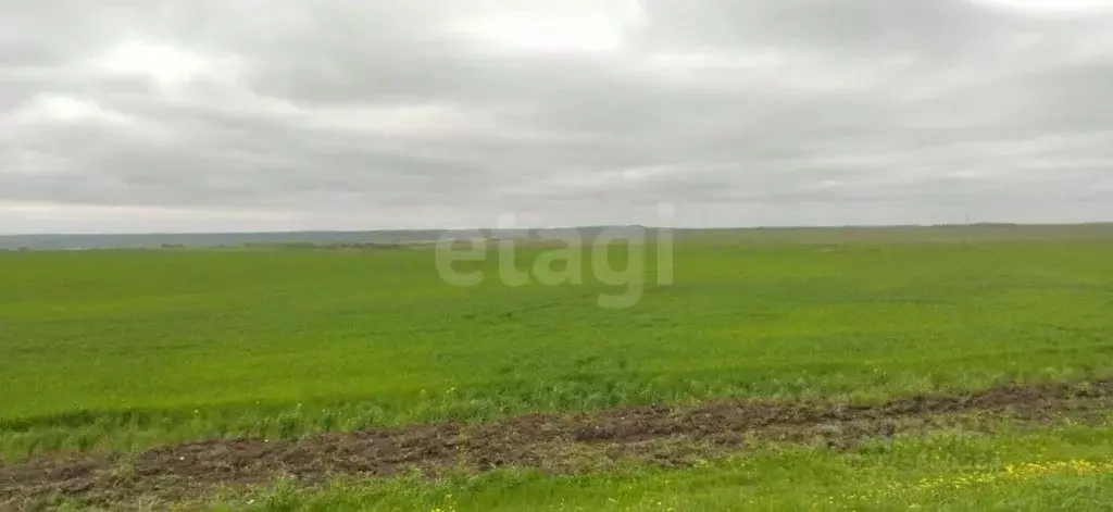 Участок в Крым, Ленинский район, Заветненское с/пос, с. Заветное ул. ... - Фото 1