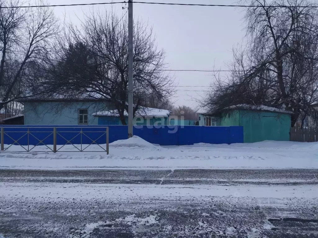 Дом в Амурская область, с. Константиновка ул. Пионерская, 10 (49 м) - Фото 0