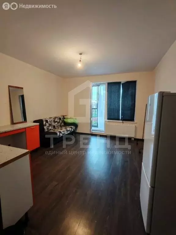 Квартира-студия: Санкт-Петербург, Арцеуловская аллея, 19 (28.6 м) - Фото 2