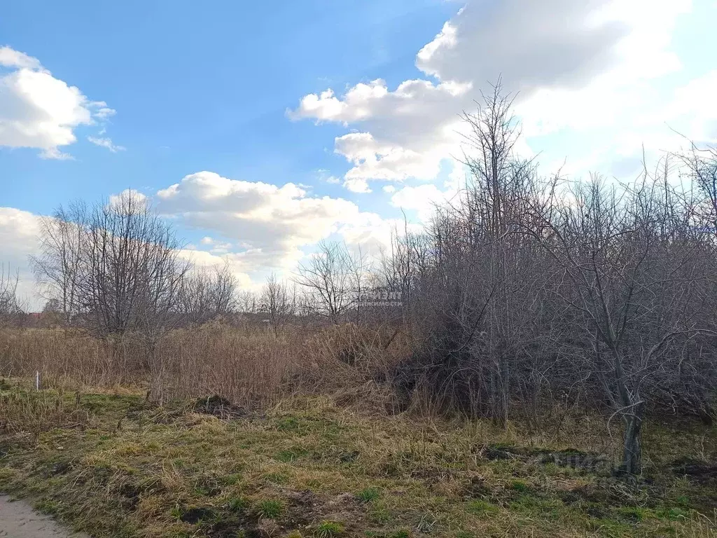 Участок в Калининградская область, Калининград Чайка СНТ, проезд ... - Фото 1