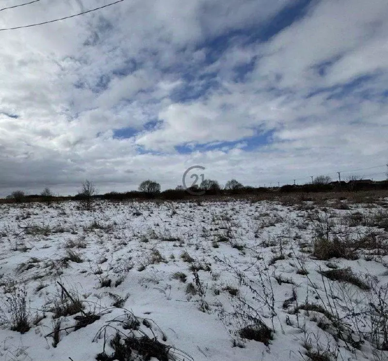 Участок в Тамбовская область, Тамбовский муниципальный округ, д. ... - Фото 1