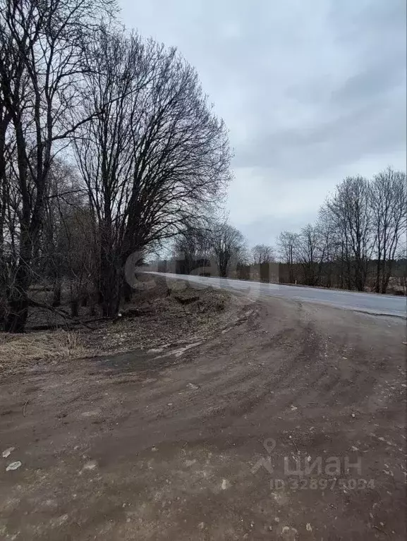 Участок в Ленинградская область, Ломоносовский район, Копорское с/пос, ... - Фото 1