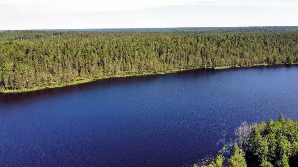 Участок в Карелия, Питкярантский муниципальный округ, д. Орусъярви  ... - Фото 2