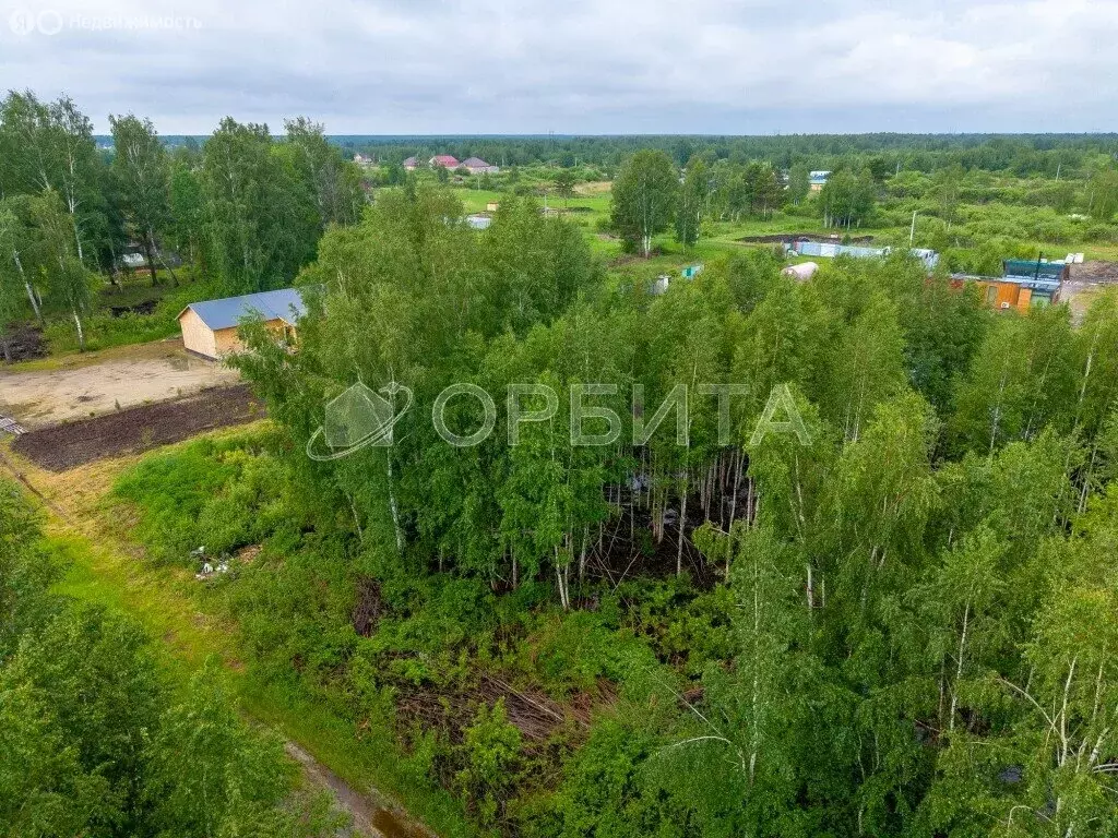 Участок в Тюмень, СНТ Ясень (8 м) - Фото 1