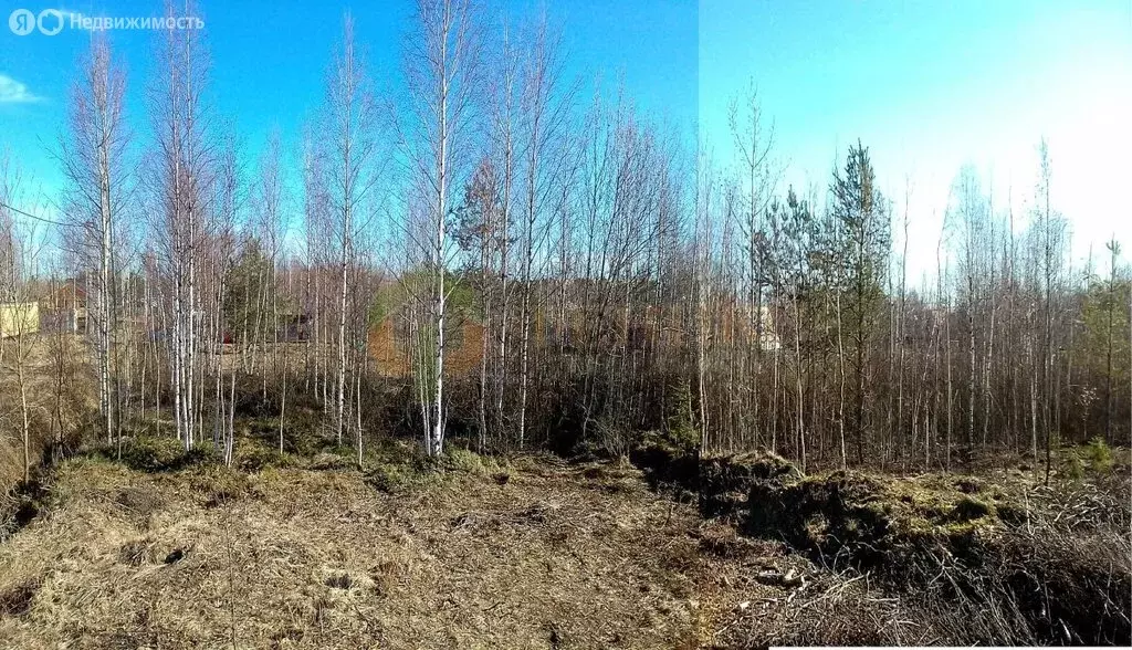 Участок в Кировский район, Синявинское городское поселение, ... - Фото 0