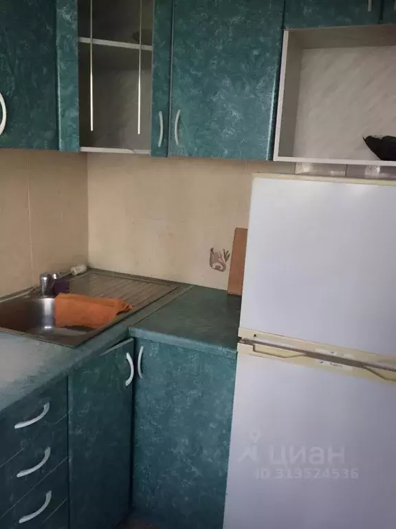 2-к кв. Красноярский край, Железногорск Восточная ул., 19 (48.0 м) - Фото 0