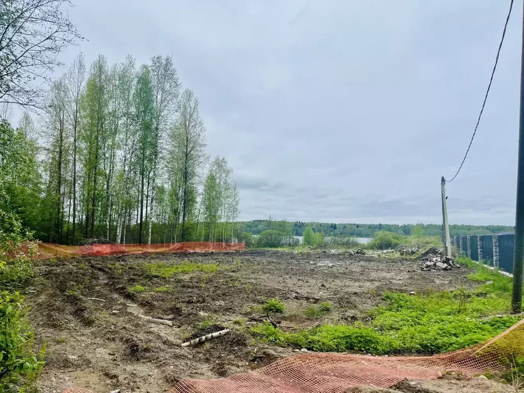 Участок в Ленинградская область, Выборгский район, Каменногорское ... - Фото 0