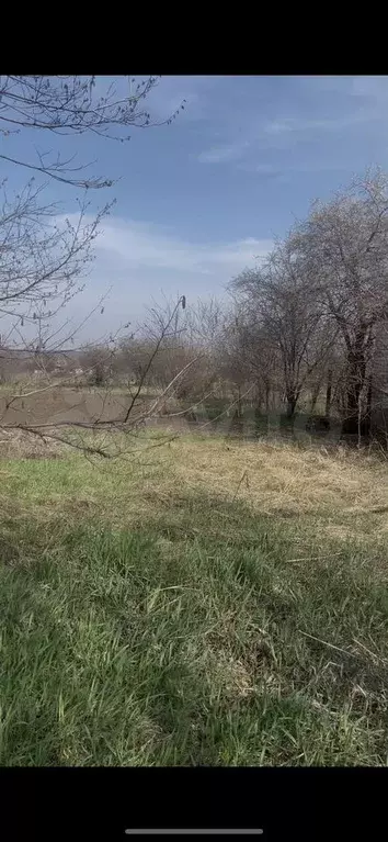 Участок 11,8 сот. (ИЖС) - Фото 0