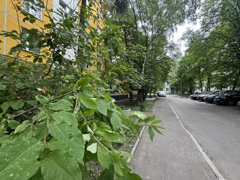 Комната Москва Профсоюзная ул., 42К1 (11.7 м) - Фото 2