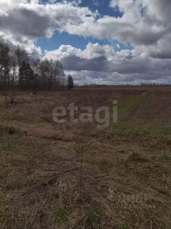 Участок в Ярославская область, Некрасовский муниципальный округ, с. ... - Фото 1