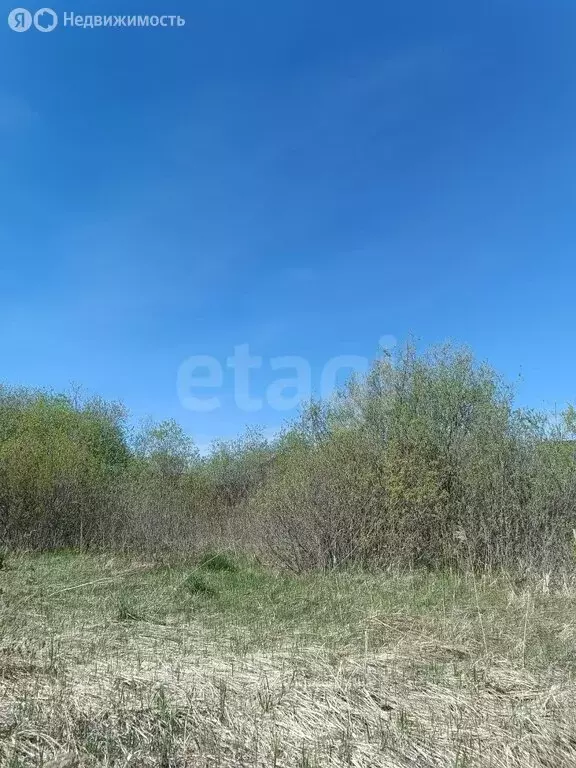 Участок в Тюмень, садовое товарищество Липовый Остров, 4-я Восточная ... - Фото 1