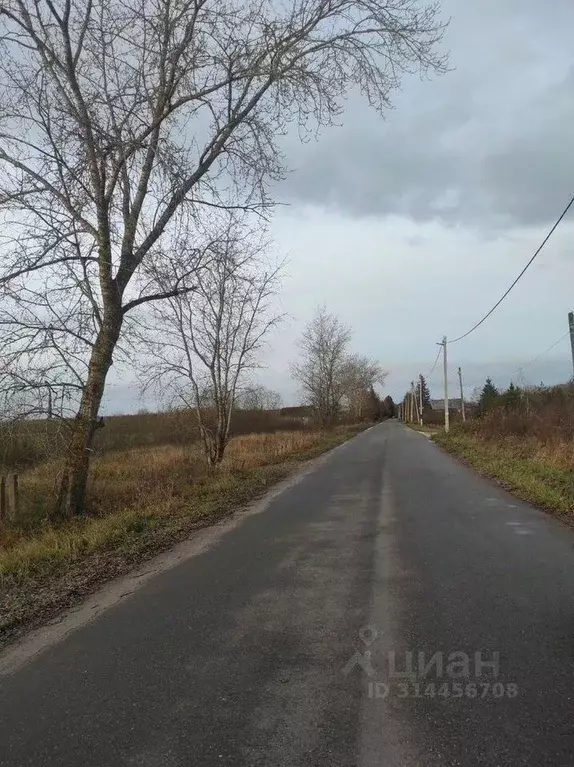 Дом в Новгородская область, Новгородский район, Борковское с/пос, д. ... - Фото 0