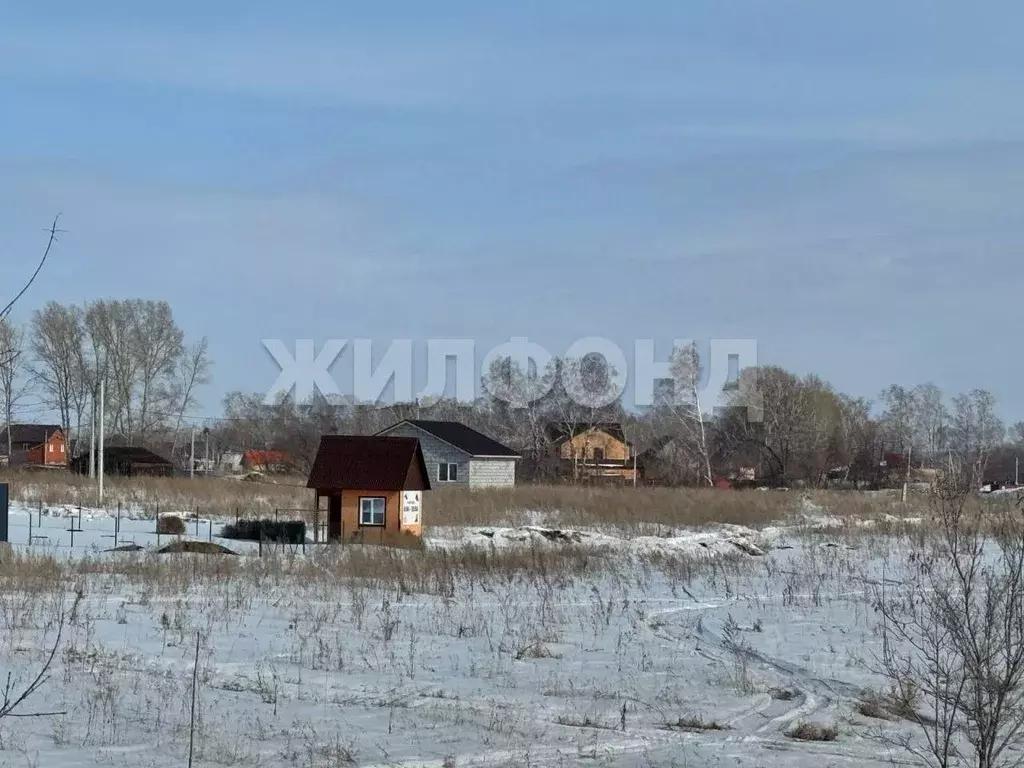 Участок в Калининградская область, Славский муниципальный округ, пос. ... - Фото 1