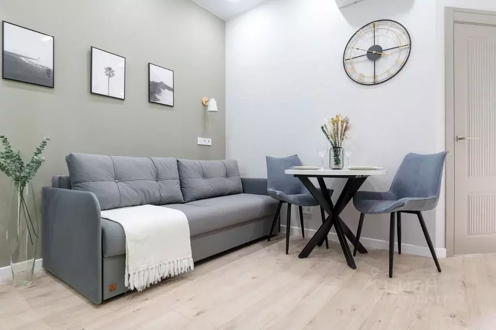 1-к кв. Краснодарский край, Сочи Сириус пгт, ул. Таврическая (25.0 м) - Фото 1