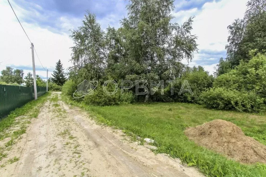 Участок в Тюменская область, Нижнетавдинский муниципальный округ, ... - Фото 1