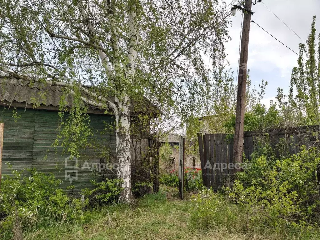 Дом в Волгоградская область, Волгоград Агат СНТ,  (43 м) - Фото 0