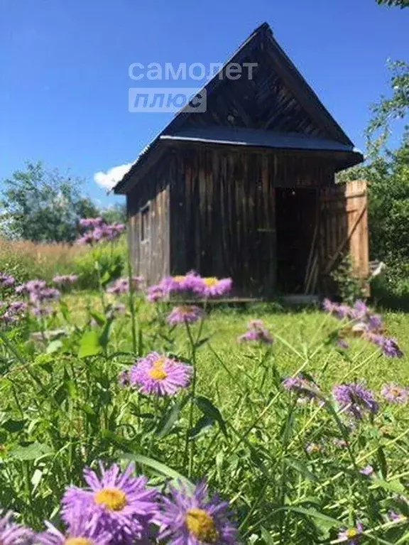 Участок в Марий Эл, Медведевский район, Знаменское с/пос, Буревестник ... - Фото 0