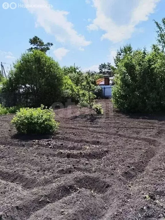 Дом в Омск, садоводческое некоммерческое товарищество Любитель (20 м) - Фото 2