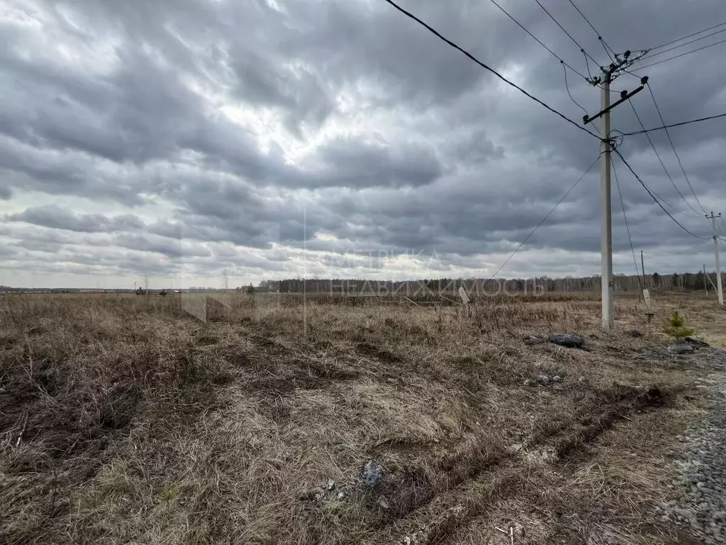 Участок в Тюменская область, Тюменский район, с. Салаирка  (7.31 сот.) - Фото 0