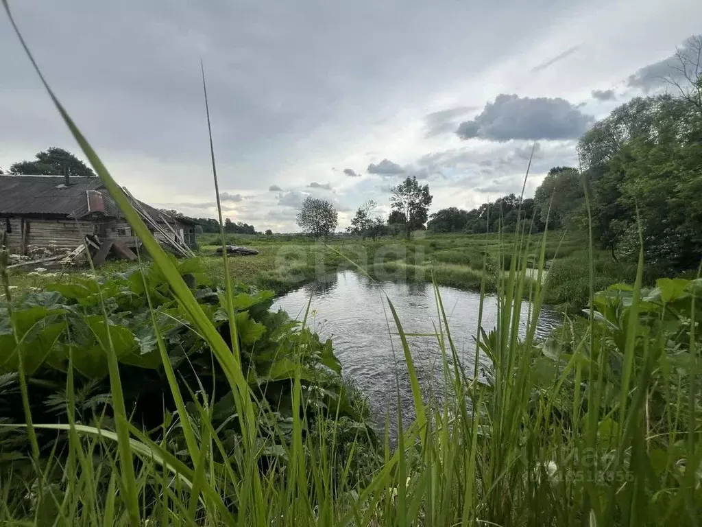 Участок в Калужская область, Сухиничский район, Алнеры с/пос, д. ... - Фото 1