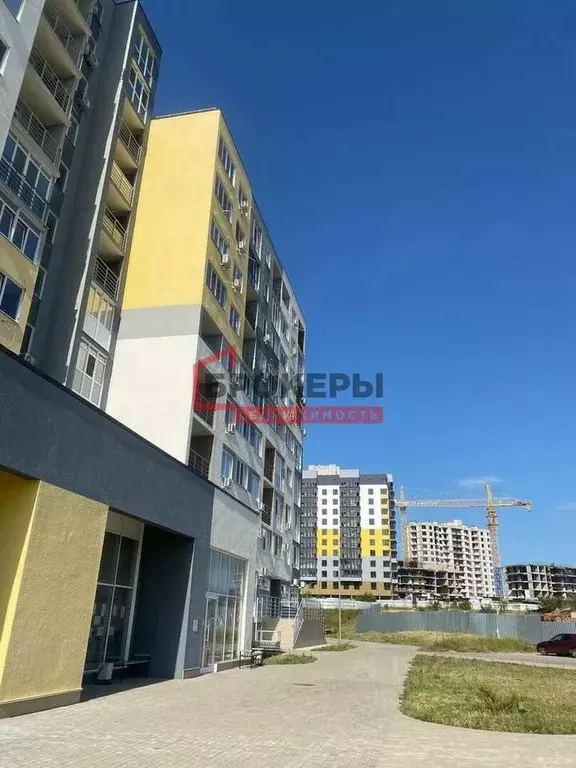 Студия Крым, Симферопольский район, Молодежное пгт  (25.4 м) - Фото 2