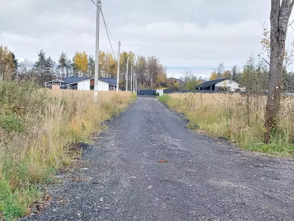 Участок в Ленинградская область, Всеволожский район, Колтушское ... - Фото 2