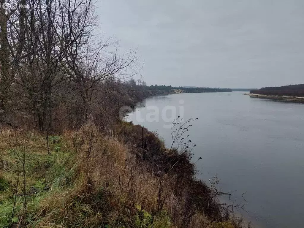 Участок в Владимирская область, Меленковский муниципальный округ, ... - Фото 2